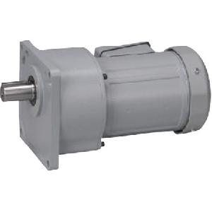 Động cơ NISSEI G3L18N20-MM02TNNTJ2